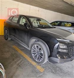 جيتور داشينج